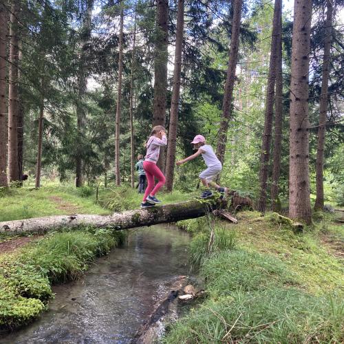 summer_2024_33