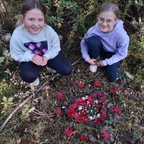 autumn_2024_11
