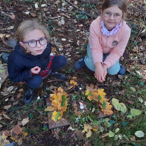 autumn_2024_12