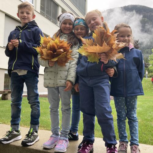 autumn_2024_22