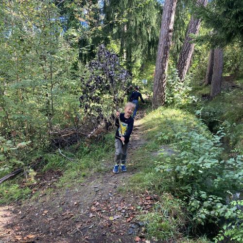 autumn_2024_30