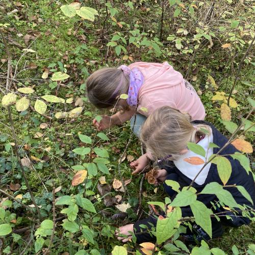 autumn_2024_39