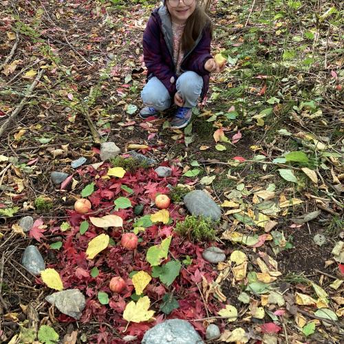 autumn_2024_45